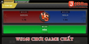 Các cửa cược trong một trận Đá gà Thomo