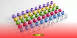 nuoi-lo